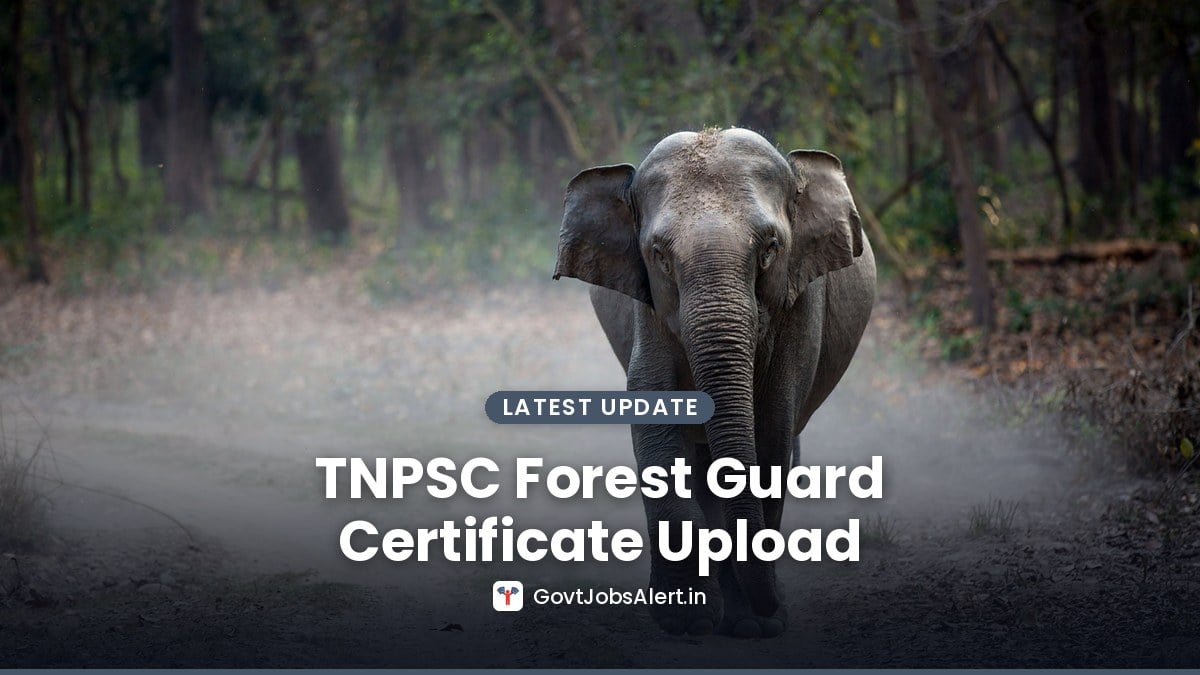 Forest department staff walking through an Indian forest - TNPSC Group 4 Forest Guard and Forest Watcher certificate upload 2026